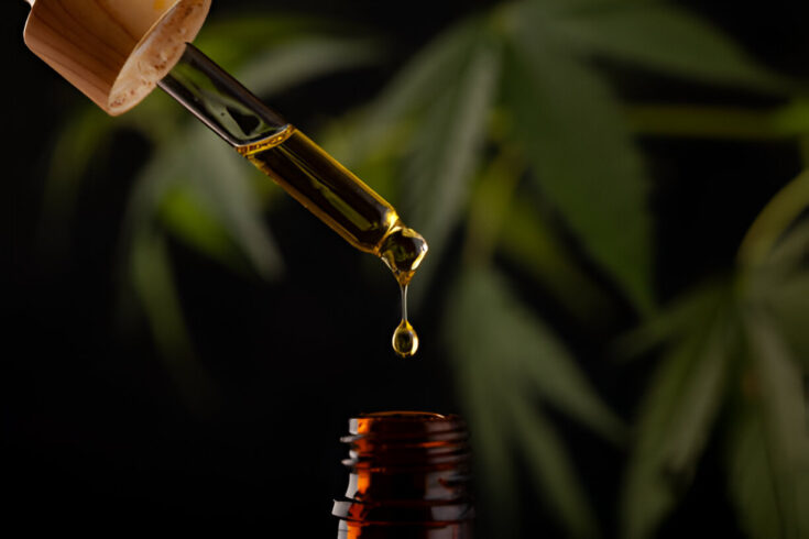 exploring cbd and thc therapeutic potential